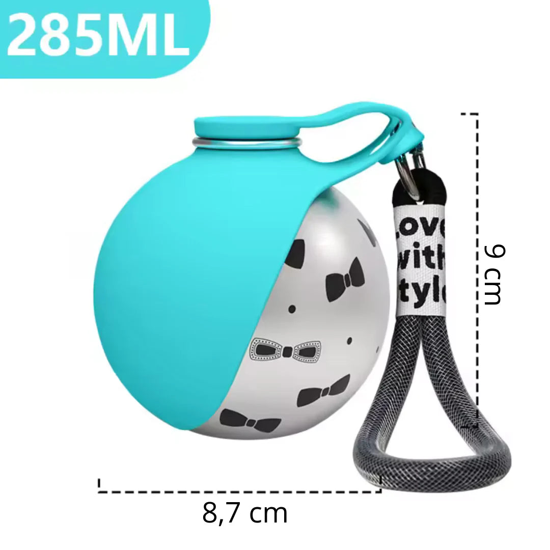 2-in-1 water bottle