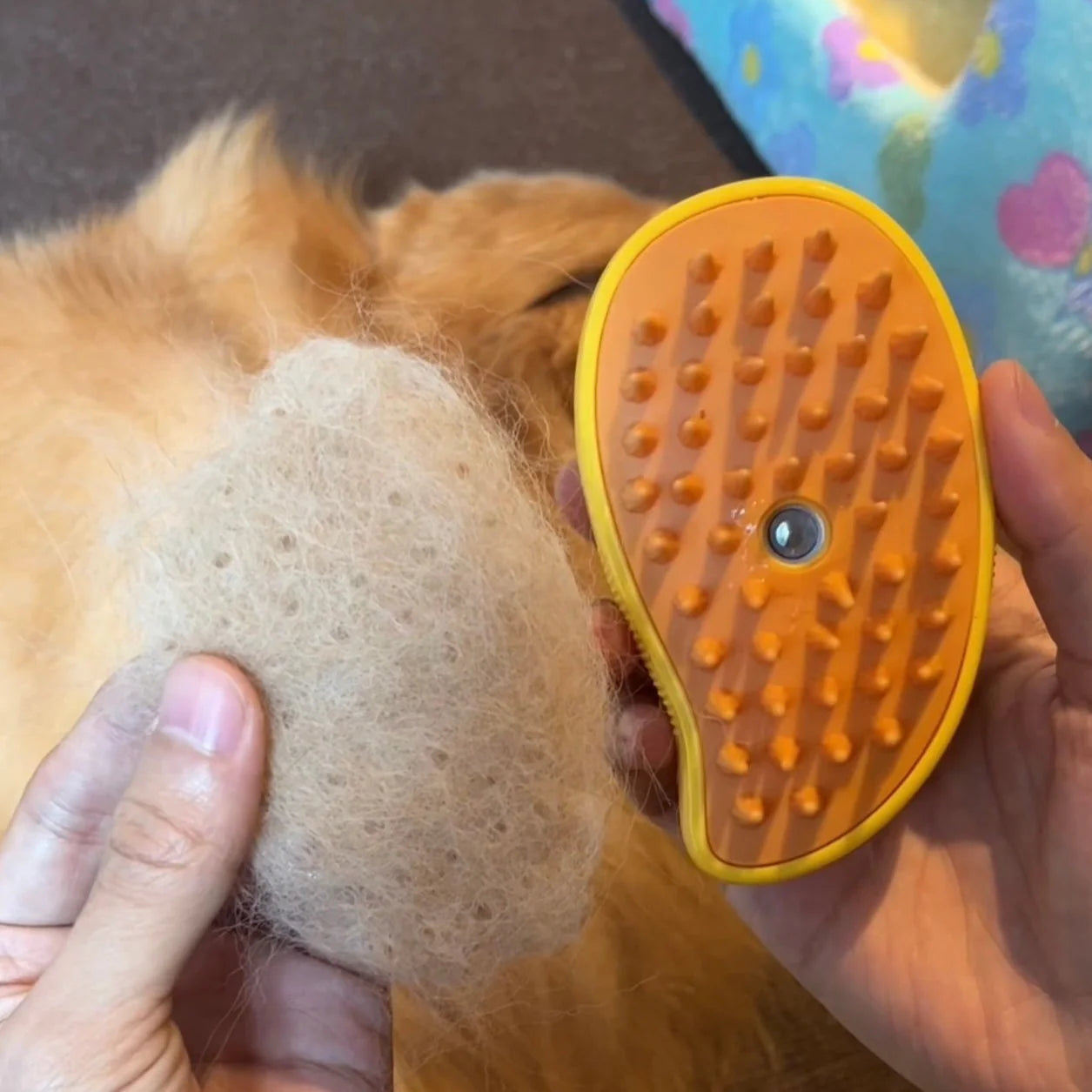 DAMPFBÜRSTE 
