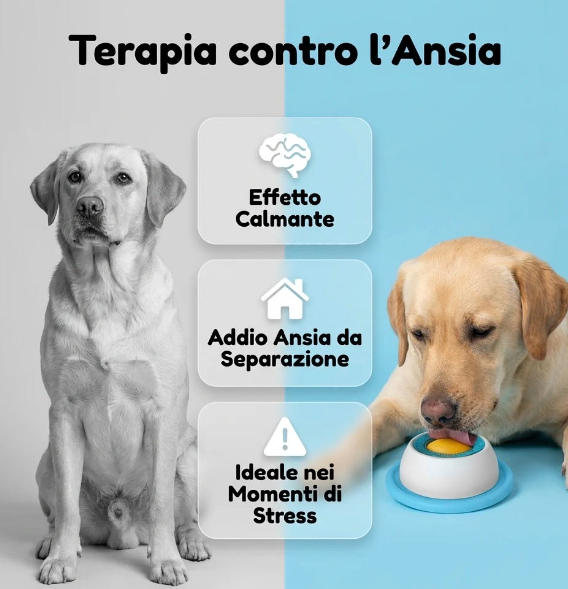 CIOTOLA ANTISTRESS